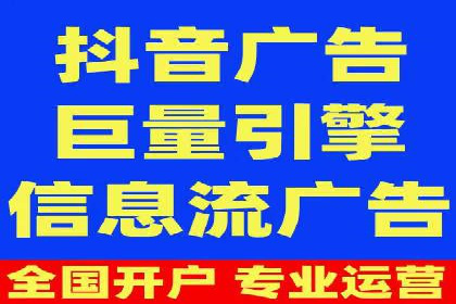 竞价广告的投放策略与效果评估——以一成功企业为例